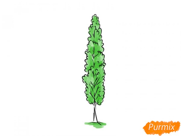 Тополь зарисовки