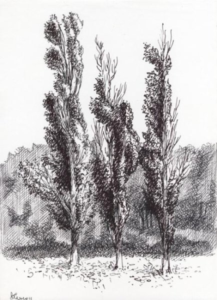 Нарисовать дерево Тополь