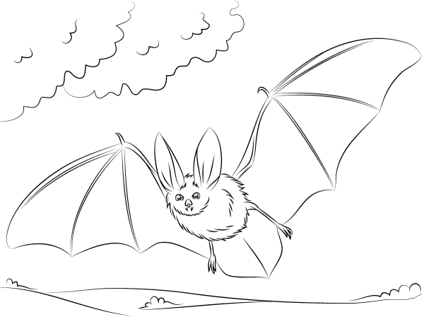 Летучая мышь карандашом