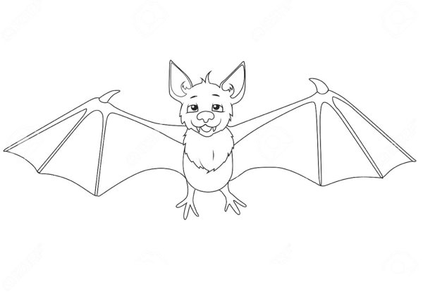 Раскраска Летучучая мышь