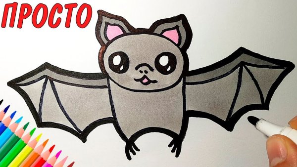 Летучая мышь рисунок поэтапно
