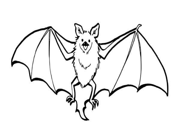 Лёгкие рисунки для Хэллоуина