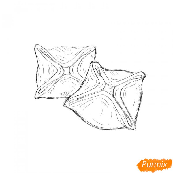 Манты рисунок