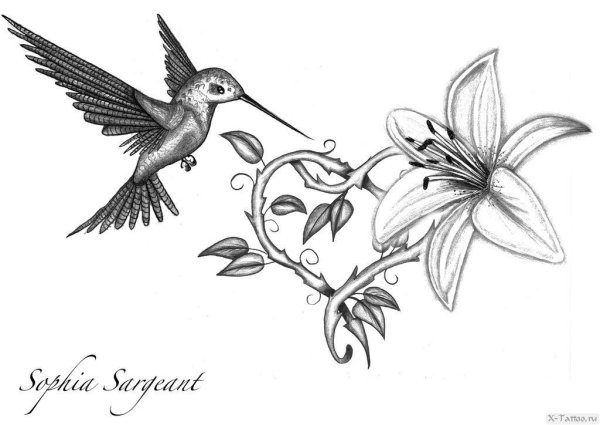 Тату Колибри с цветами черно белая
