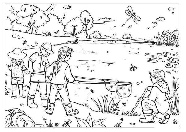 Картинка лето раскраска