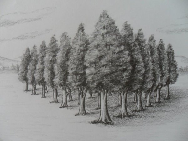 Линейная перспектива деревья