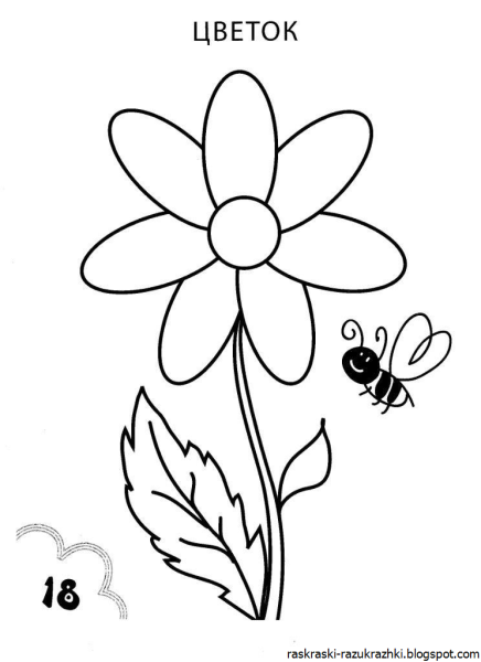 Раскраска один цветок