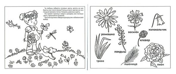 Растения возле школы нарисовать