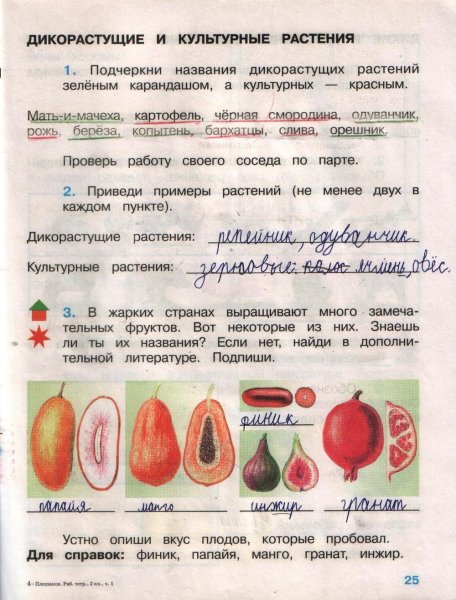 Растения задания для детей