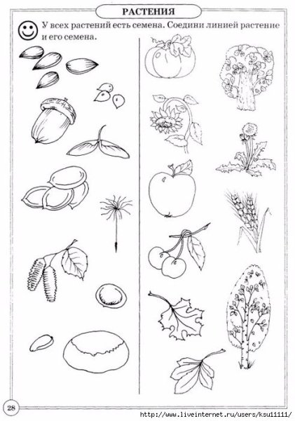 Культурные растения