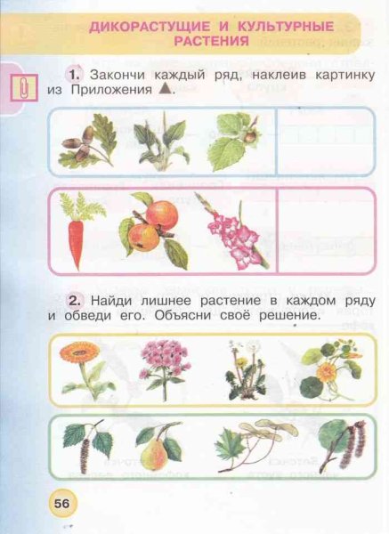 Окружающий мир 1 класс рабочая тетрадь Плешаков 1 класс