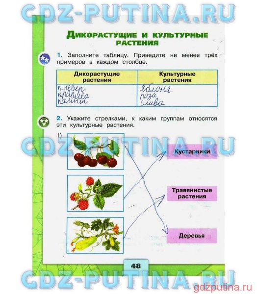 Лото "что где растет"