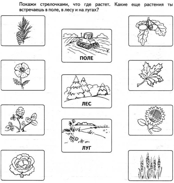 Культурное растение легко