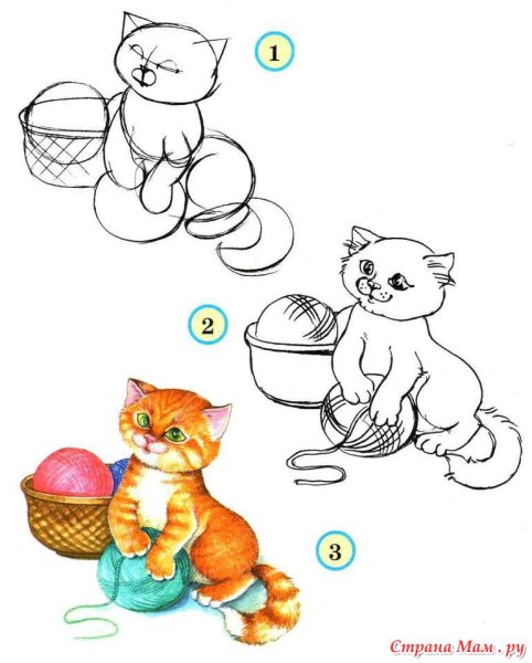 Схема рисования кота для дошкольников