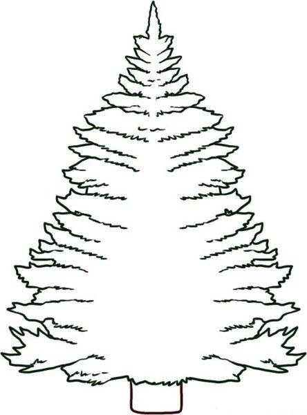 Пошаговое рисование елки