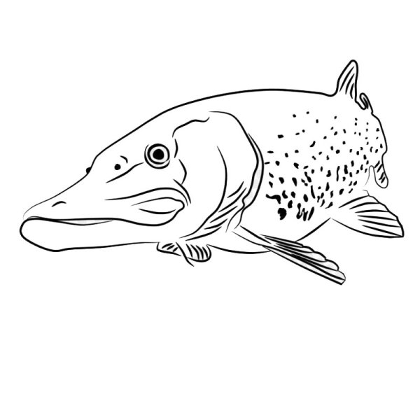 Щука трафарет для рисования