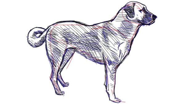 Английский мастиф