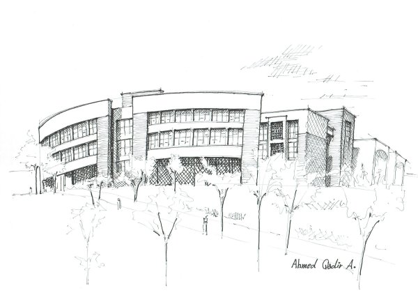 Университет скетч