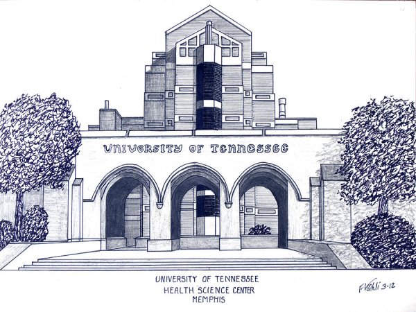 Университет скетч