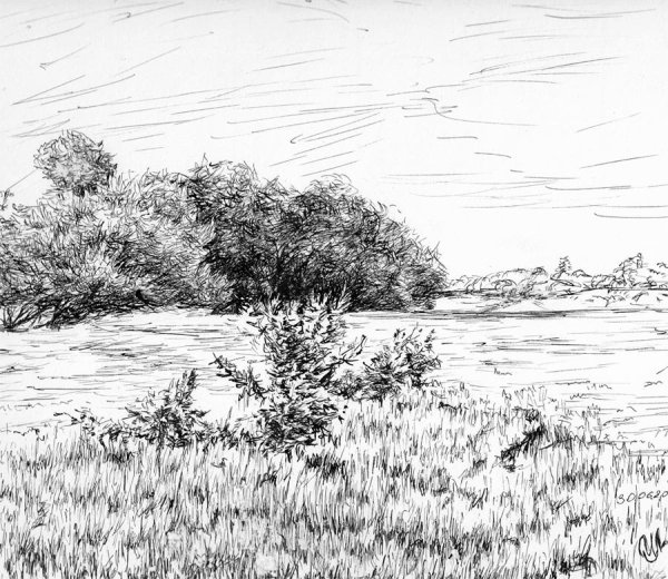 Зарисовки природы