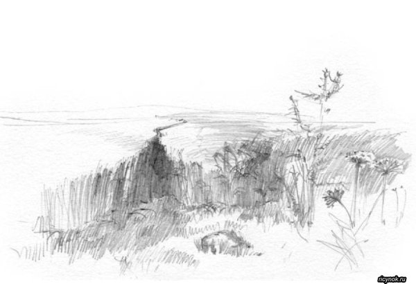 Летний пейзаж Графика