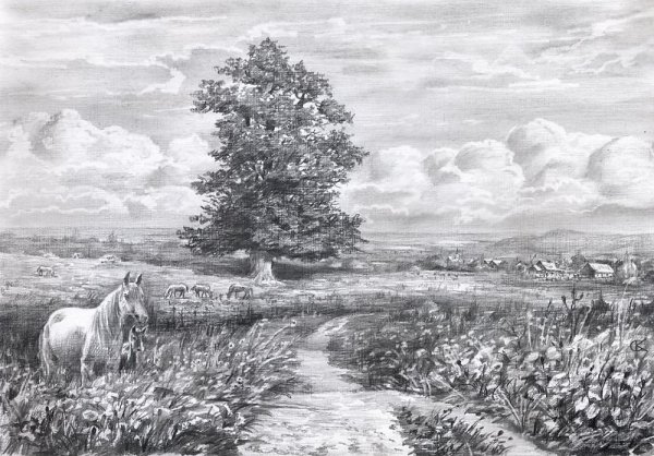 Манга пейзажи