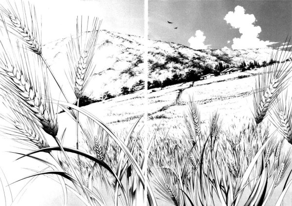 Пшеничное поле карандашом