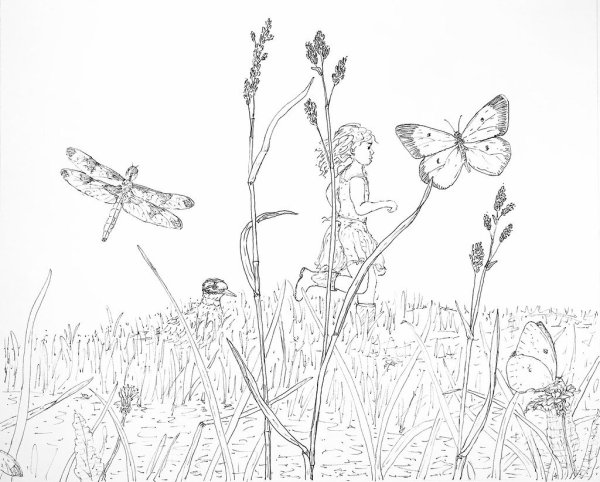 Пейзаж цветов карандашом