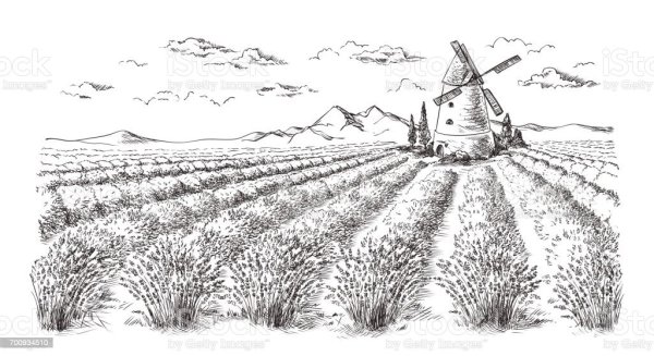 Дорога карандашом