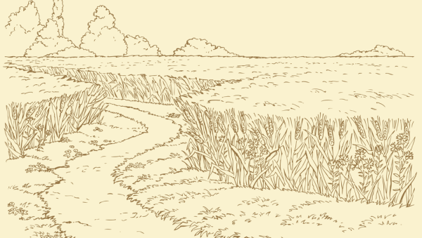 Раскраска лужайка