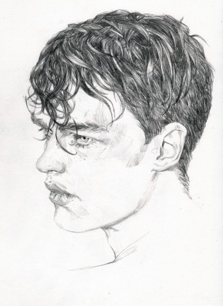 Портрет парня карандашом