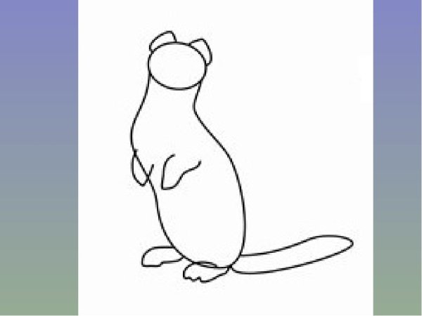 Соболь рисунок