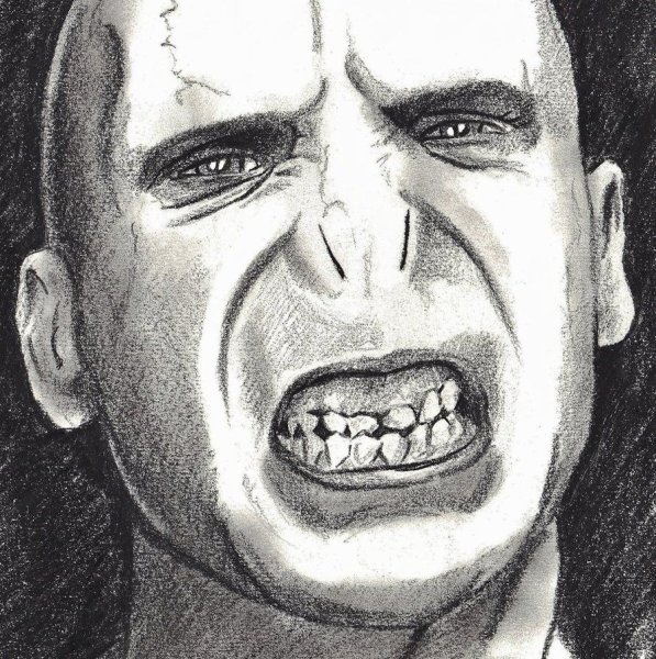 Воландеморт портрет