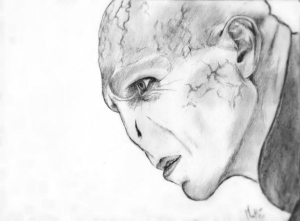 Воландеморт портрет