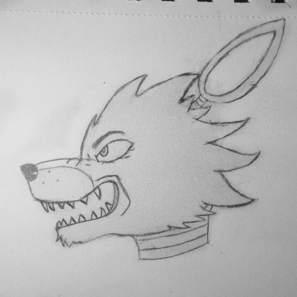 Фокси рисунок для срисовки