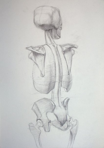 Академические зарисовки рук