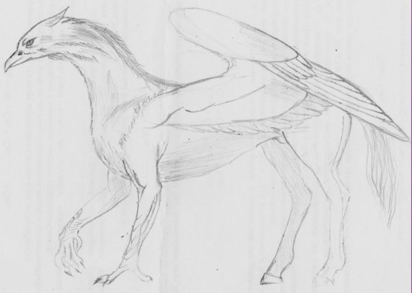 Гиппогриф Гарри Поттер рисунок лёгкий