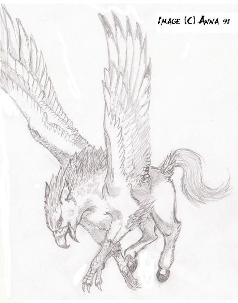 Гиппогриф Гарри Поттер