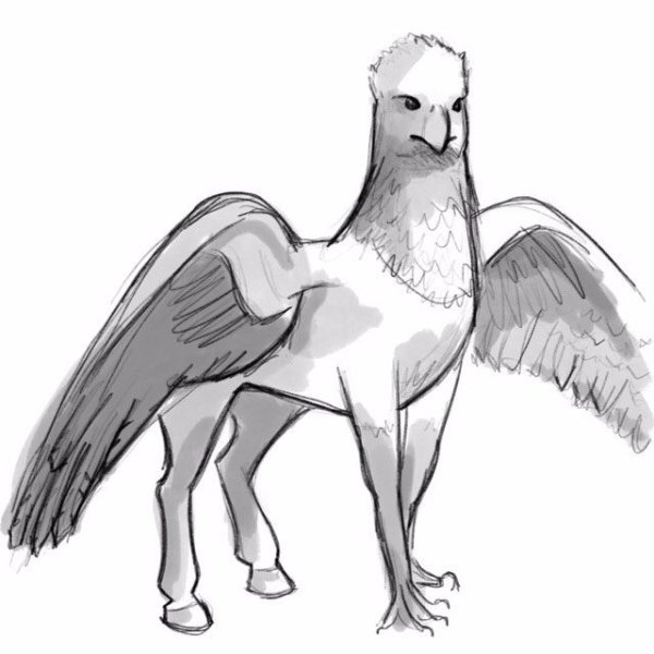 Гиппогриф Гарри Поттер рисунок