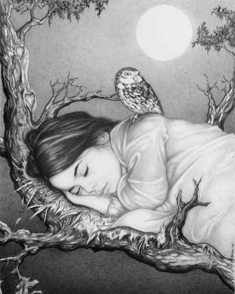 Сон зарисовка