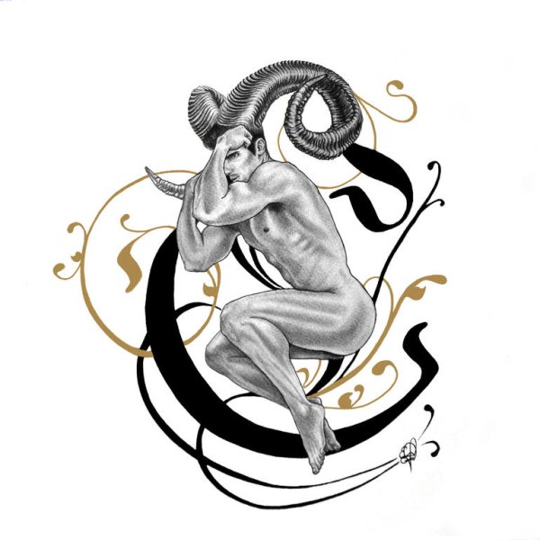 Векторная Графика Водолей