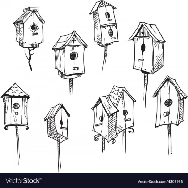 Рисование скворечник птицы