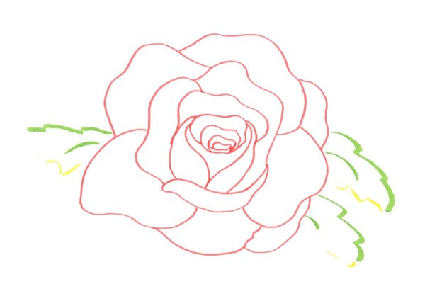 Рисунок розы для срисовки