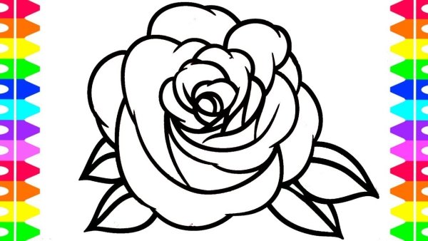 Роза рисунок легкий для детей