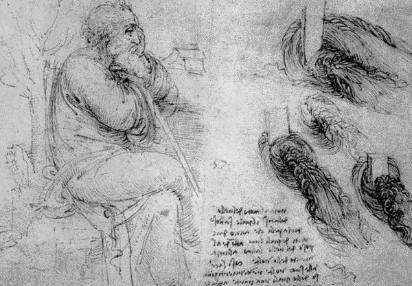 Риснку Леонардо Давинчи