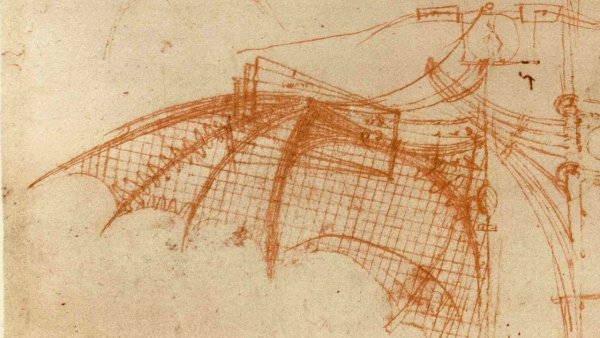 Крылья Леонардо да Винчи