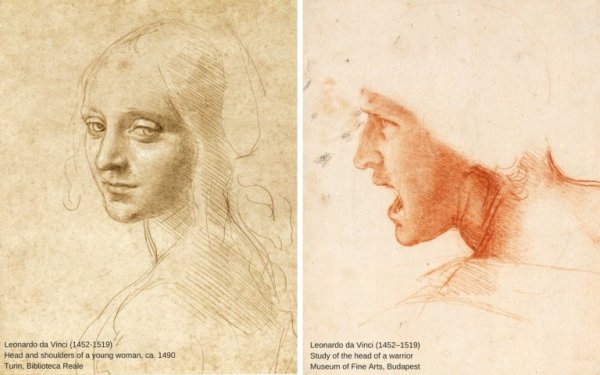 Леонардо да Винчи лицо