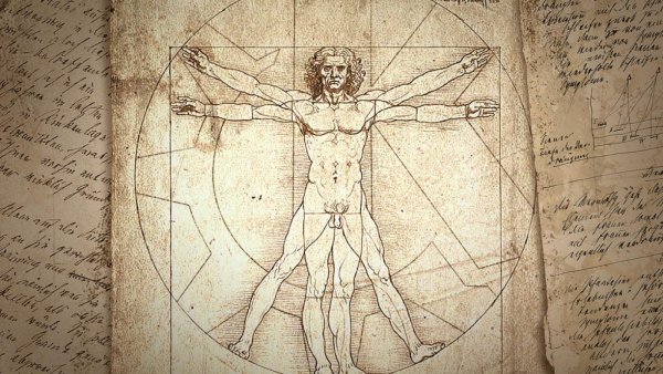 Леонардо да Винчи Витрувианский человек