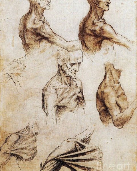 Зарисовки Леонардо да Винчи