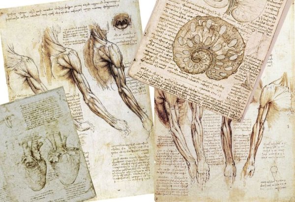 Скарамучча Леонардо да Винчи